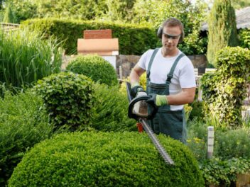 Jardinage : ces arbres et arbustes à tailler avant fin avril