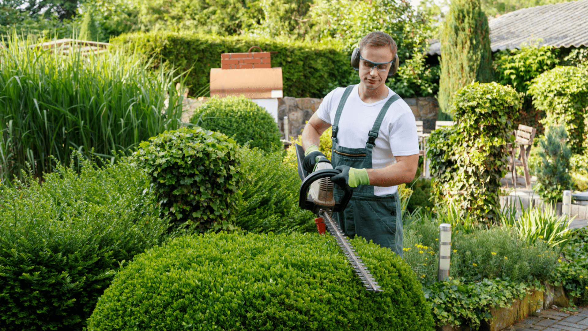 Jardinage : ces arbres et arbustes à tailler avant fin avril