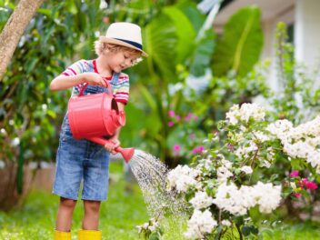 Recyclage, récupérateur d’eau… : comment économiser sur vos dépenses de jardin cet été ?