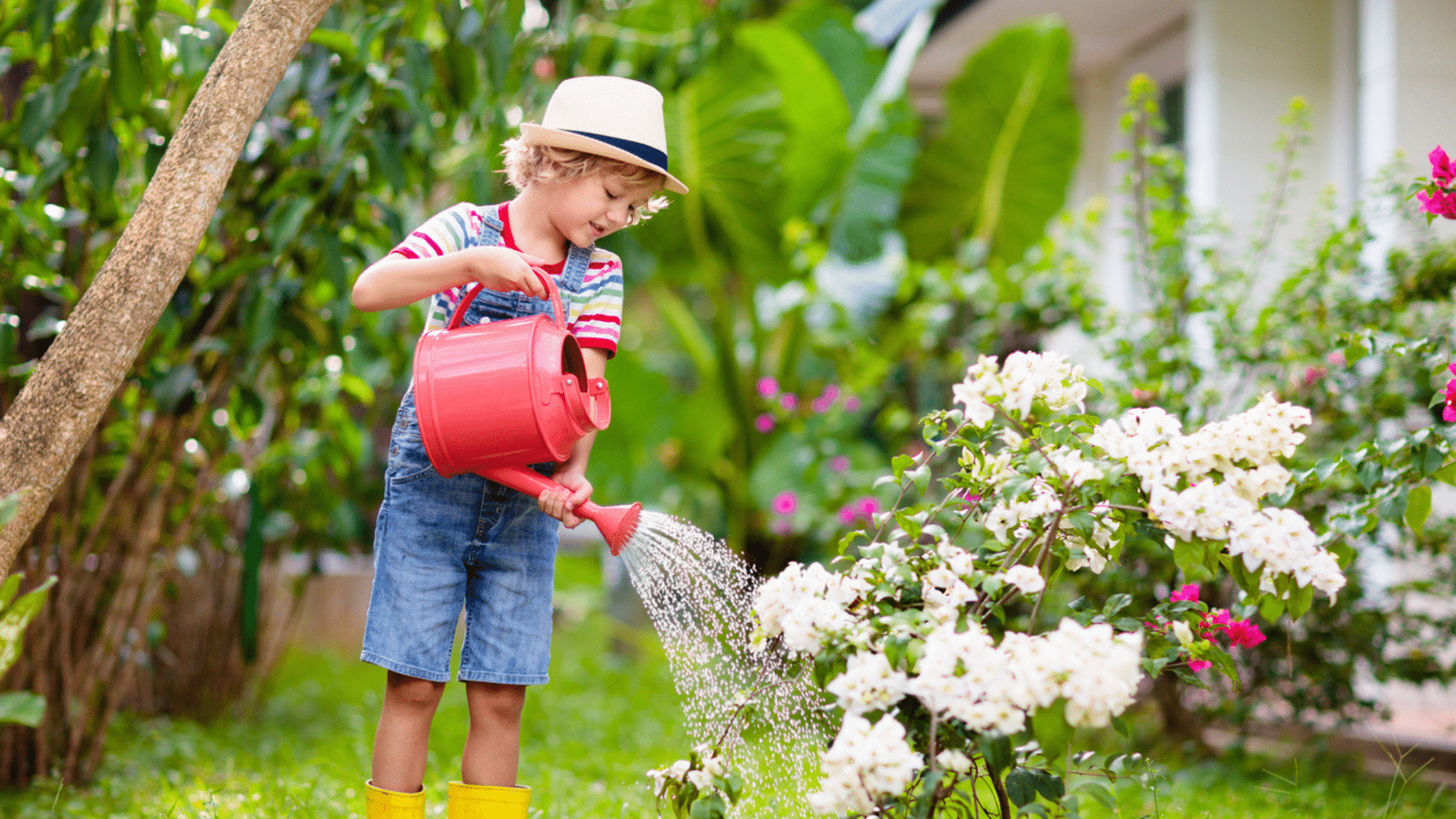 Recyclage, récupérateur d’eau… : comment économiser sur vos dépenses de jardin cet été ?