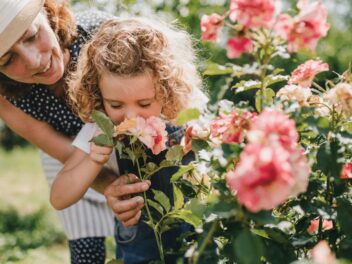 Comment choisir le meilleur engrais pour faire pousser vos rosiers ce printemps ?