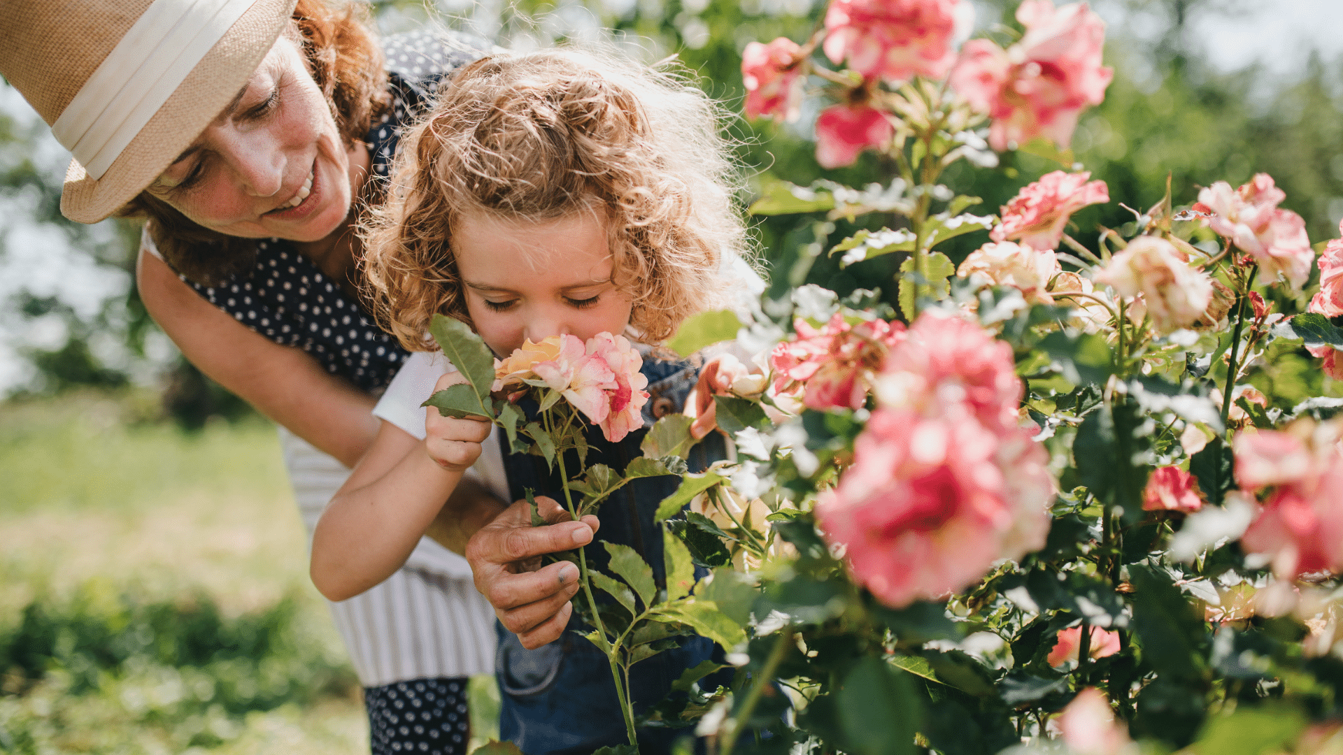 Comment choisir le meilleur engrais pour faire pousser vos rosiers ce printemps ?