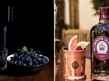 Découvrez le Sloe Gin, la liqueur anglaise à ne pas manquer !