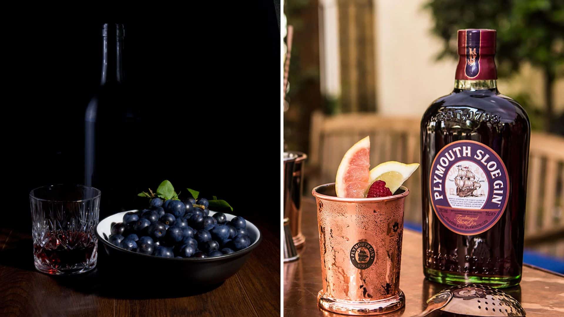 Découvrez le Sloe Gin, la liqueur anglaise à ne pas manquer !