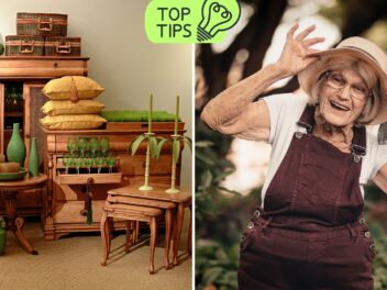 Secrets de grand-mère : 3 astuces naturelles pour redonner vie à vos vieux meubles en bois