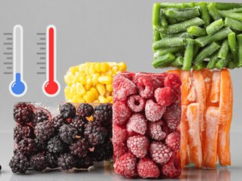 Recongeler les aliments : mythe ou réalité ? Découvrez toute la vérité sur les dangers pour la santé !