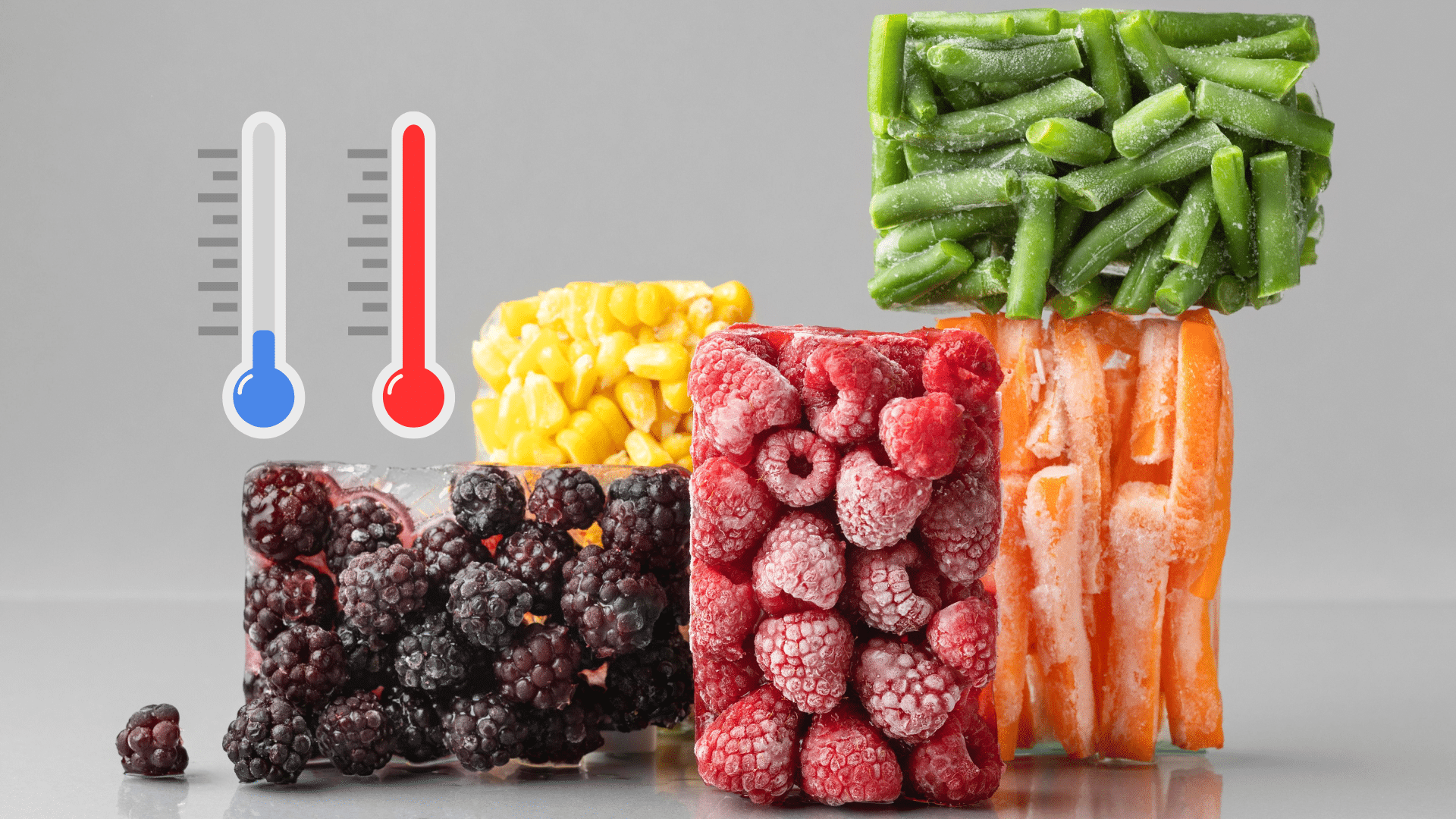 Recongeler les aliments : mythe ou réalité ? Découvrez toute la vérité sur les dangers pour la santé !