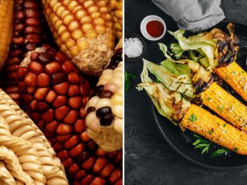 Accompagnement de légumes : mais grillé au beurre d’ail et parmesan (au barbecue)