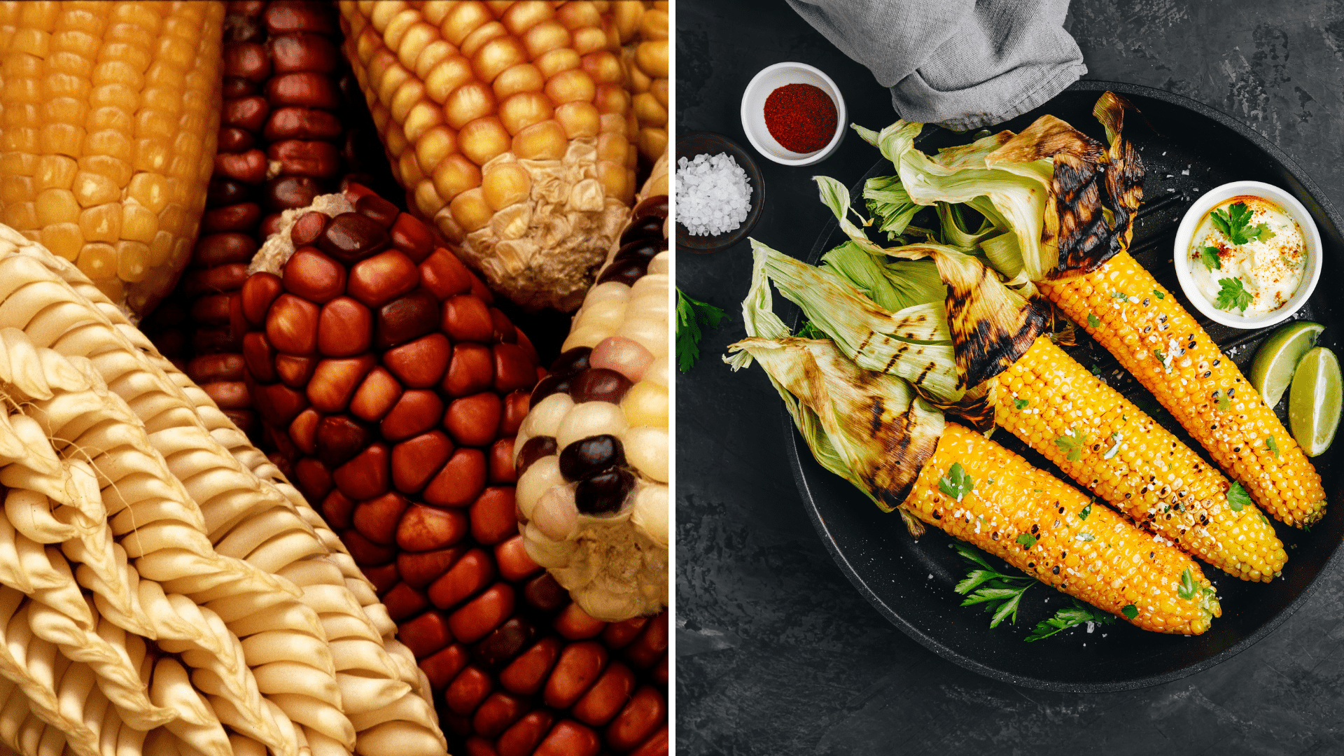 Accompagnement de légumes : mais grillé au beurre d'ail et parmesan (au barbecue)