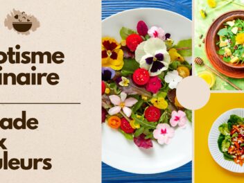Exotisme culinaire : la recette rafraîchissante de la salade aux couleurs éclatantes !