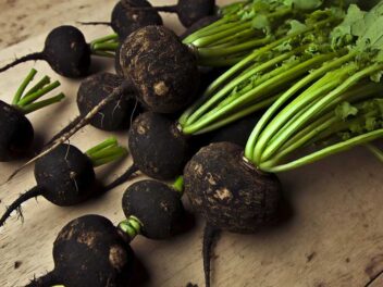Ce légume disgracieux pourrait être votre allié secret pour perdre du poids !