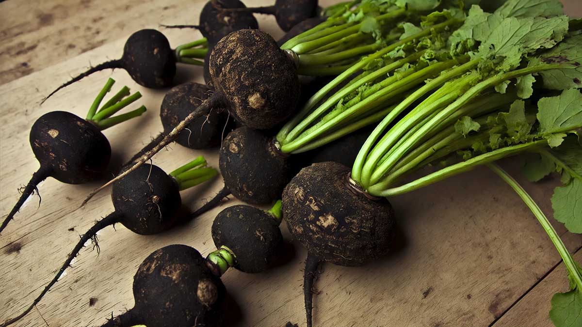 Ce légume disgracieux pourrait être votre allié secret pour perdre du poids !
