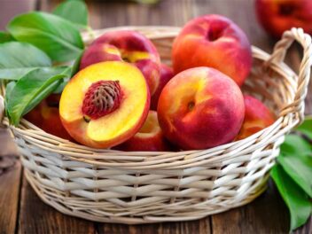 Le secret pour déguster des pêches et nectarines comme un pro !